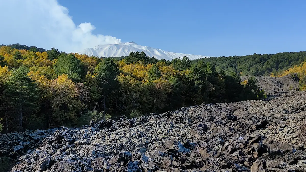 Northern slope of Etna and lava flows