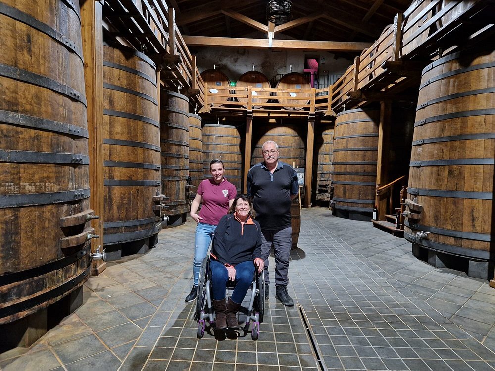 Etna Wine Tour — tasting and vineyards